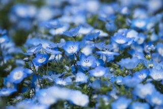 人に話しにくい話や相談にのります お悩み相談、恋愛相談等心理学を生かしたアドバイスをします イメージ1