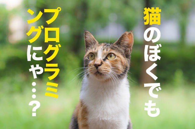 プログラマとしてのあなたに合った働き方を分析します 劣等感に陥りやすいプログラマも、色々な働き方があっていい イメージ1