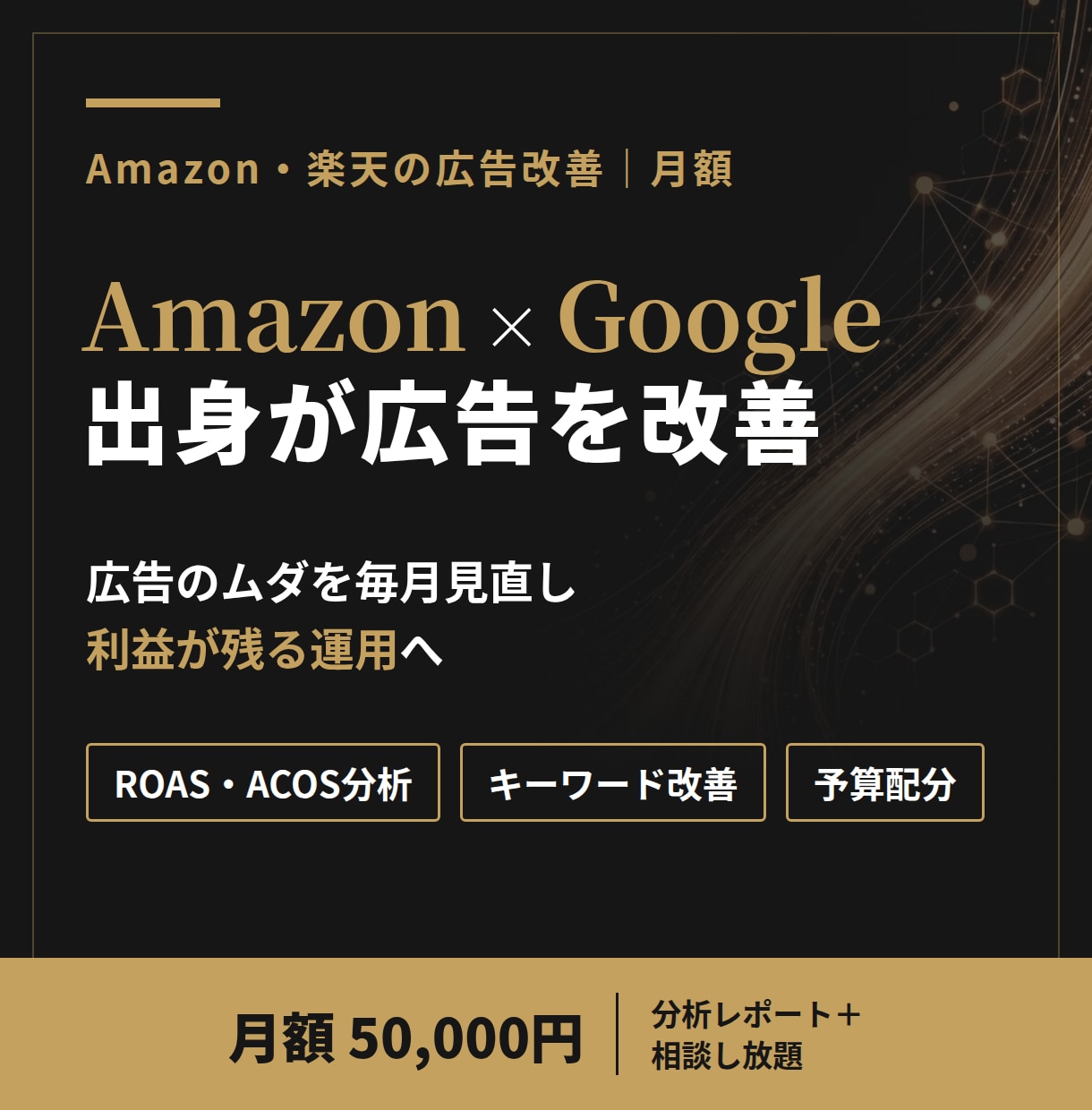 Amazon・Google出身者が広告を改善します Amazon×Googleの知見で、広告のムダを毎月見直し イメージ1
