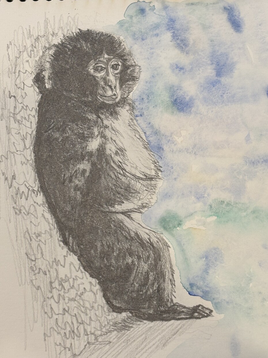 ペットの似顔絵描きます 愛ペットの似顔絵いかがですか？原画お送ります！ イメージ10
