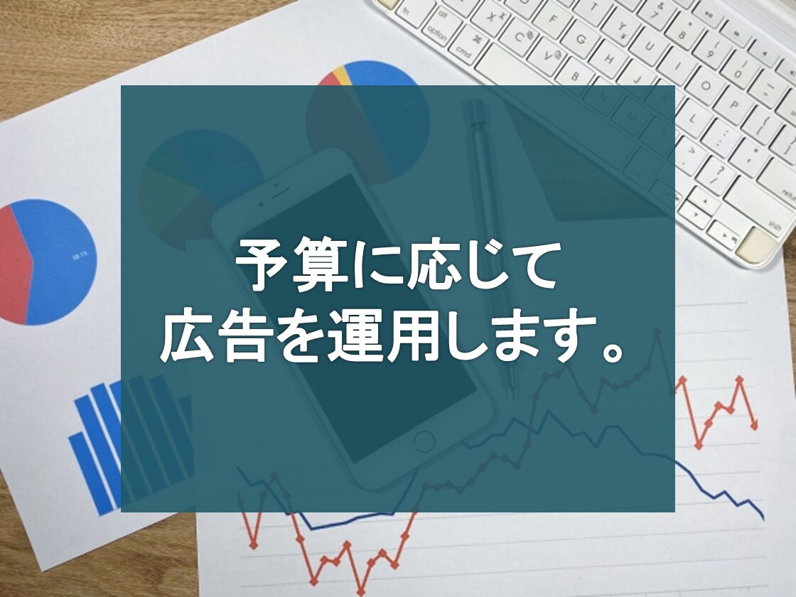 WEB広告を運用したい方へ！広告運用を代行します WEB広告の運用実績多数！売れる広告文に改善していきます イメージ1