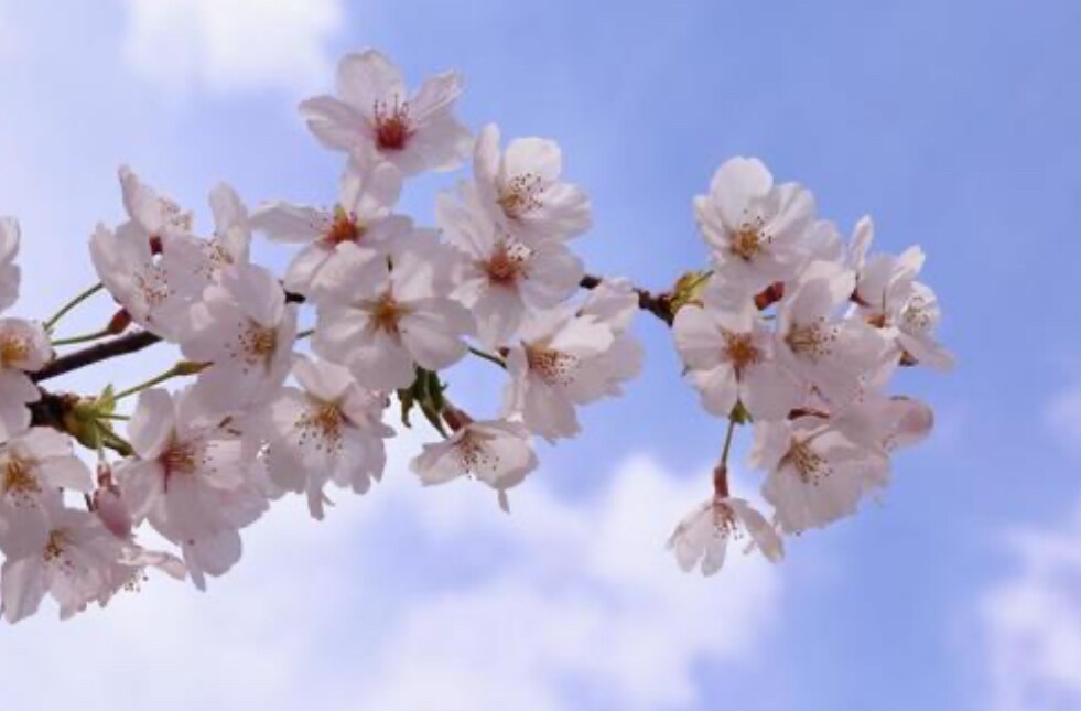 誰かに聞いてほしい整理できない気持ち、受け止めます 心の中、ちょっとだけ換気していきませんか？ イメージ1