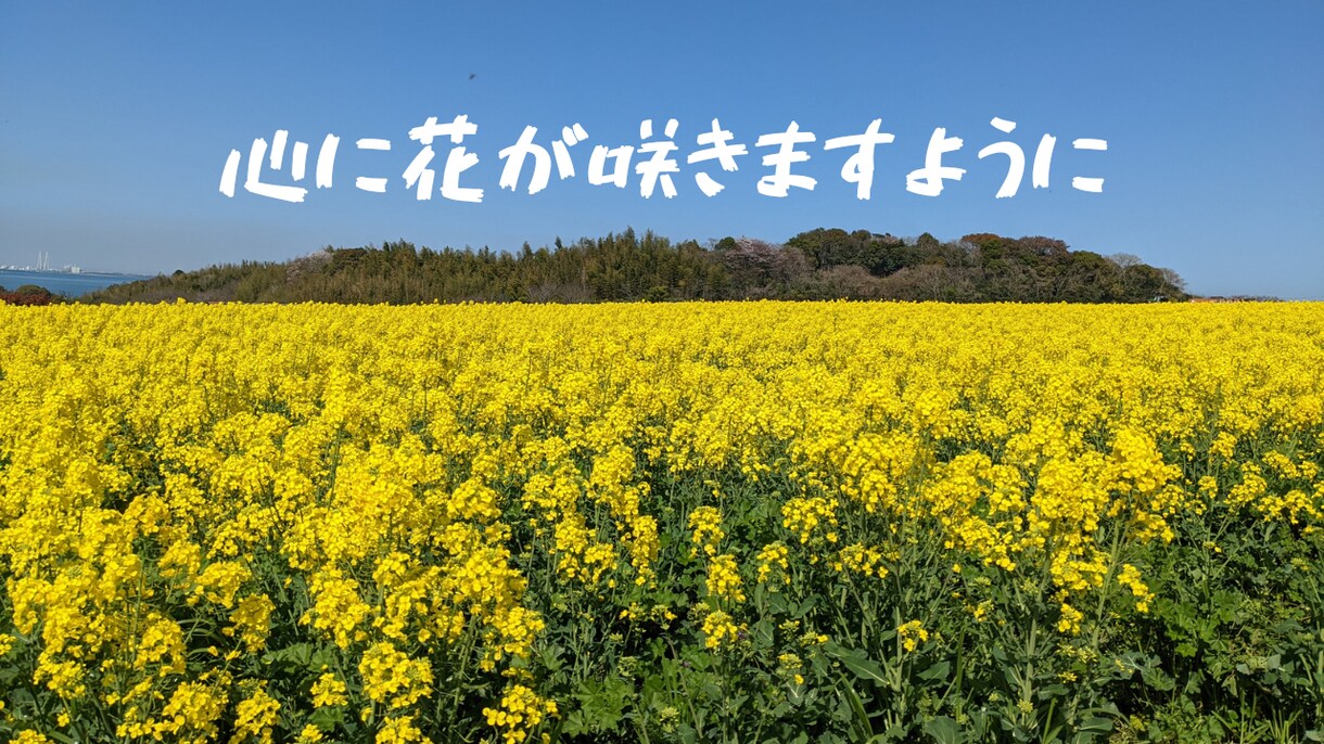 精神科勤務12年♪あなたの味方になってお聞きします 悩み・愚痴・不安・自慢話・誰かと話したい、何でも大丈夫です！ イメージ2