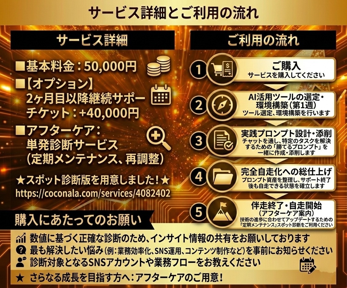伴走！AI活用の自走化を1か月集中で徹底支援します プロの視点で業務を可視化。最適なAI活用術を導き出します イメージ3