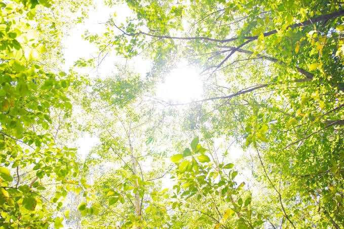 あなたのお話お伺いします あなたらしく生きていく為に今の悩みを一緒に手放しましょう＾＾ イメージ1
