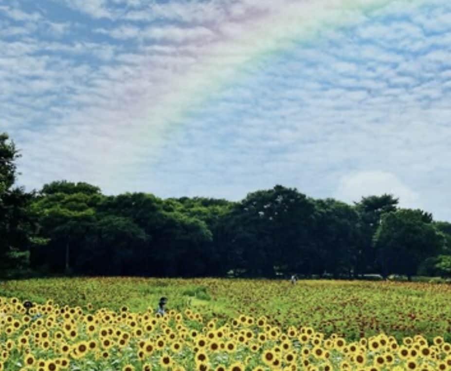 魂の願いを叶える縁結び祈祷✧2人の未来を繋ぎます 末長く続くご縁を結ぶ✧神秘の祈祷エネルギーセッション！ イメージ4