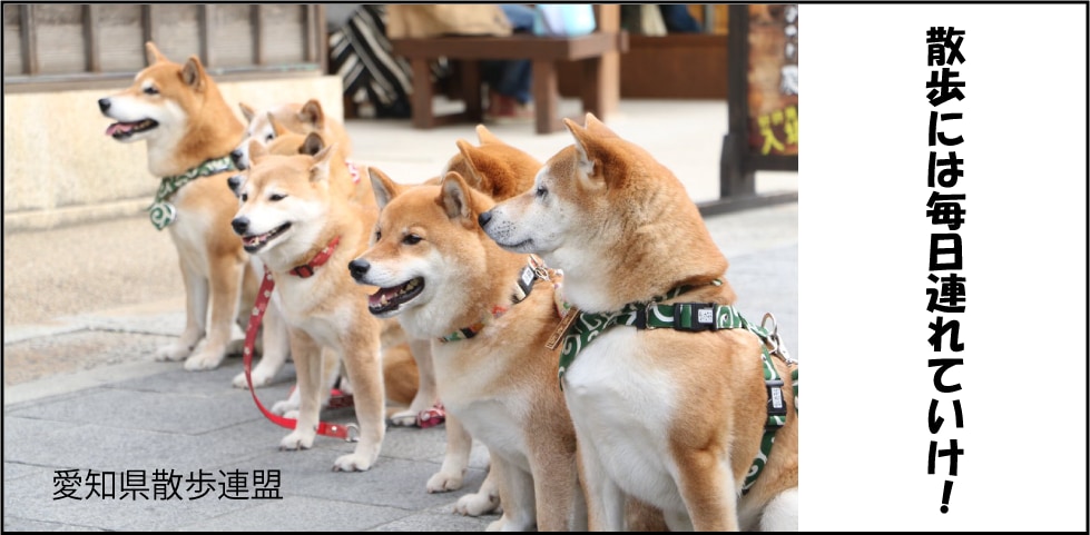 おしゃれにアメブロカスタマイズ します 8000円でアメブロバナー作成・設置まで行っちゃいます♪ イメージ5