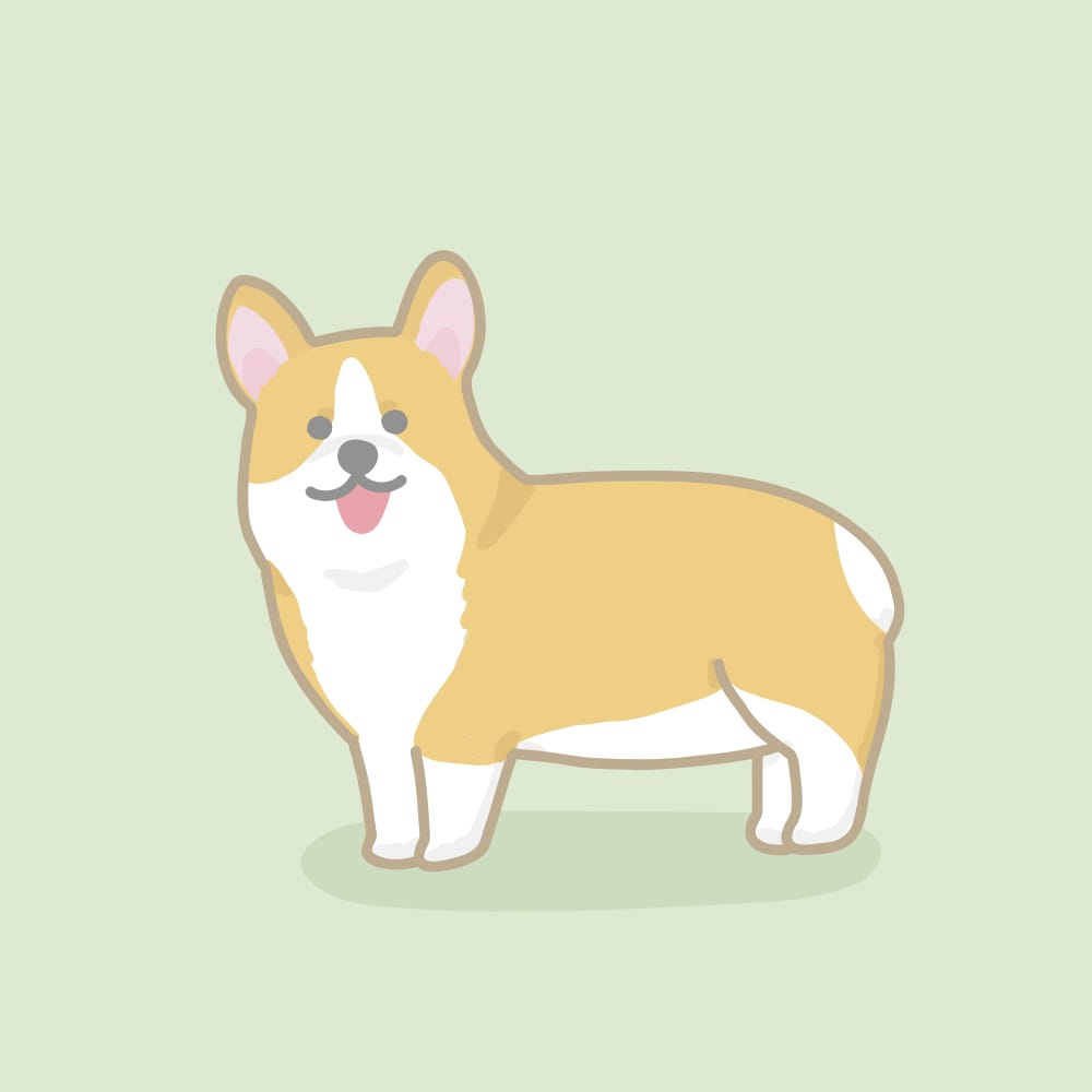 ゆるかわいいペットのイラスト描きます 大切な家族、犬猫うさぎハムスターなど、アイコンにもおすすめ！ イメージ3