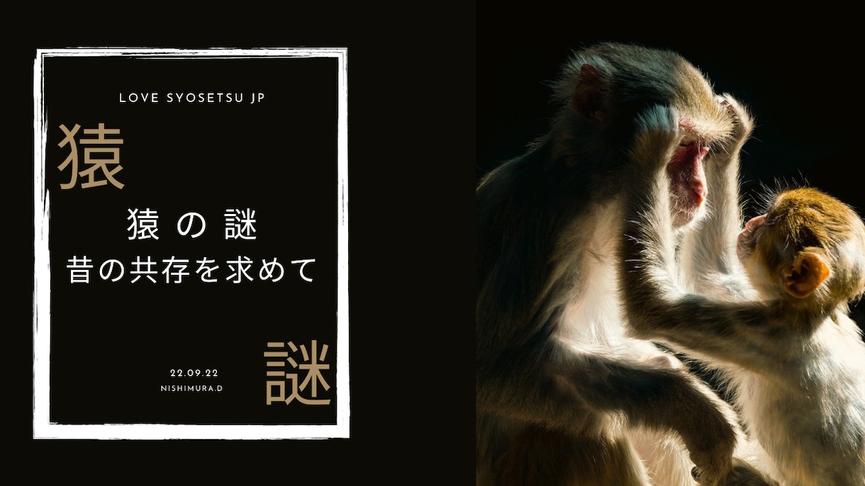 小説の初めの一歩を承ります プロローグ3案、あなたの選択で、応援します！ イメージ2