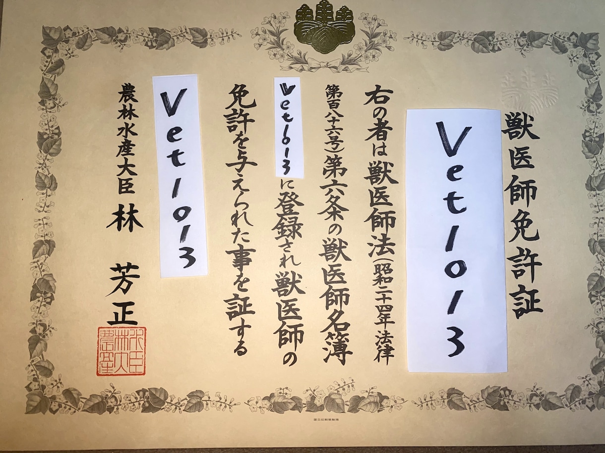 現役獣医に直接相談！犬・猫の病気・治療相談のります 日本獣医麻酔外科学会で受賞した獣医による相談受付：画像に証拠 イメージ1