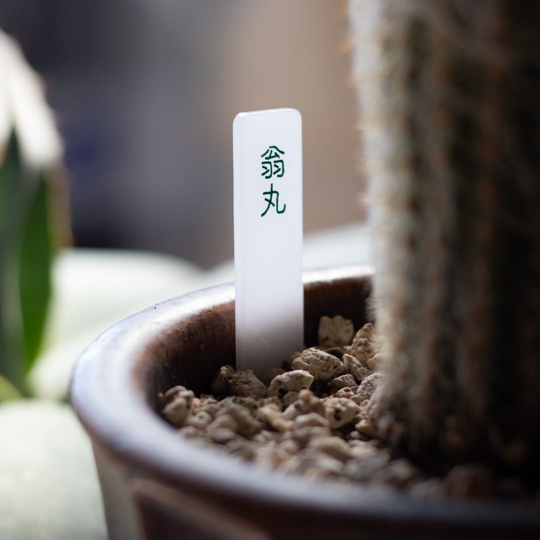 植物用ネームプレート・名札をつくります 色や形がえらべる！オリジナルデザインも対応可 イメージ5