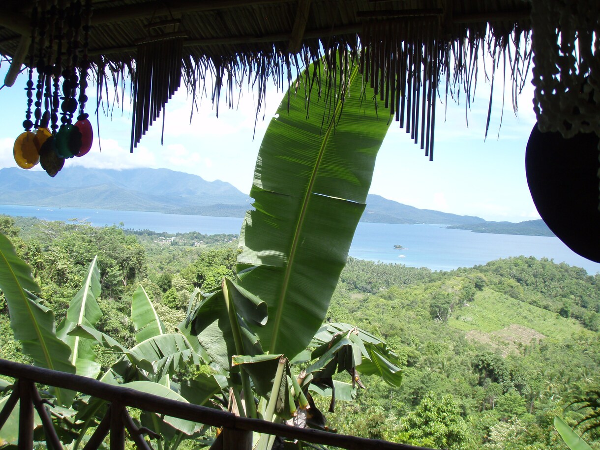 パラワンの魅力をご紹介します 緑がメッチャ濃い南の島に植林園を保有しています。 イメージ1