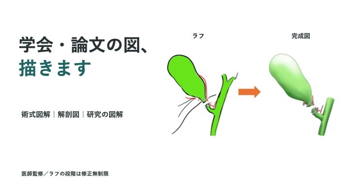 医療イラスト｜学会・論文用の術式・解剖図を描きます 医師監修×医学・バイオ出身。ラフ確定後1〜2日で仕上げ イメージ1