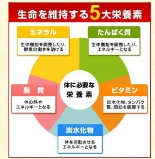 痩せたい方、パーソナルトレーナーの私が教えます 自分のダイエット方は正しいのか頑張ってるつもりでも痩せない方 イメージ2
