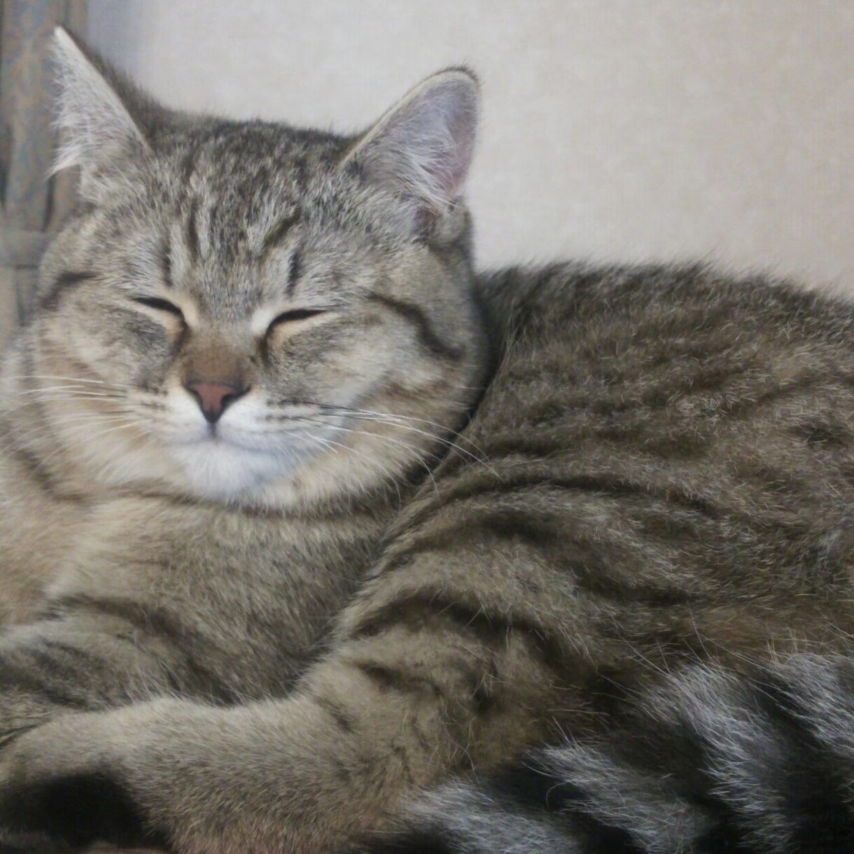お悩み・愚痴聞きます 看護師がチャット30分間、お話聞きます！ イメージ1