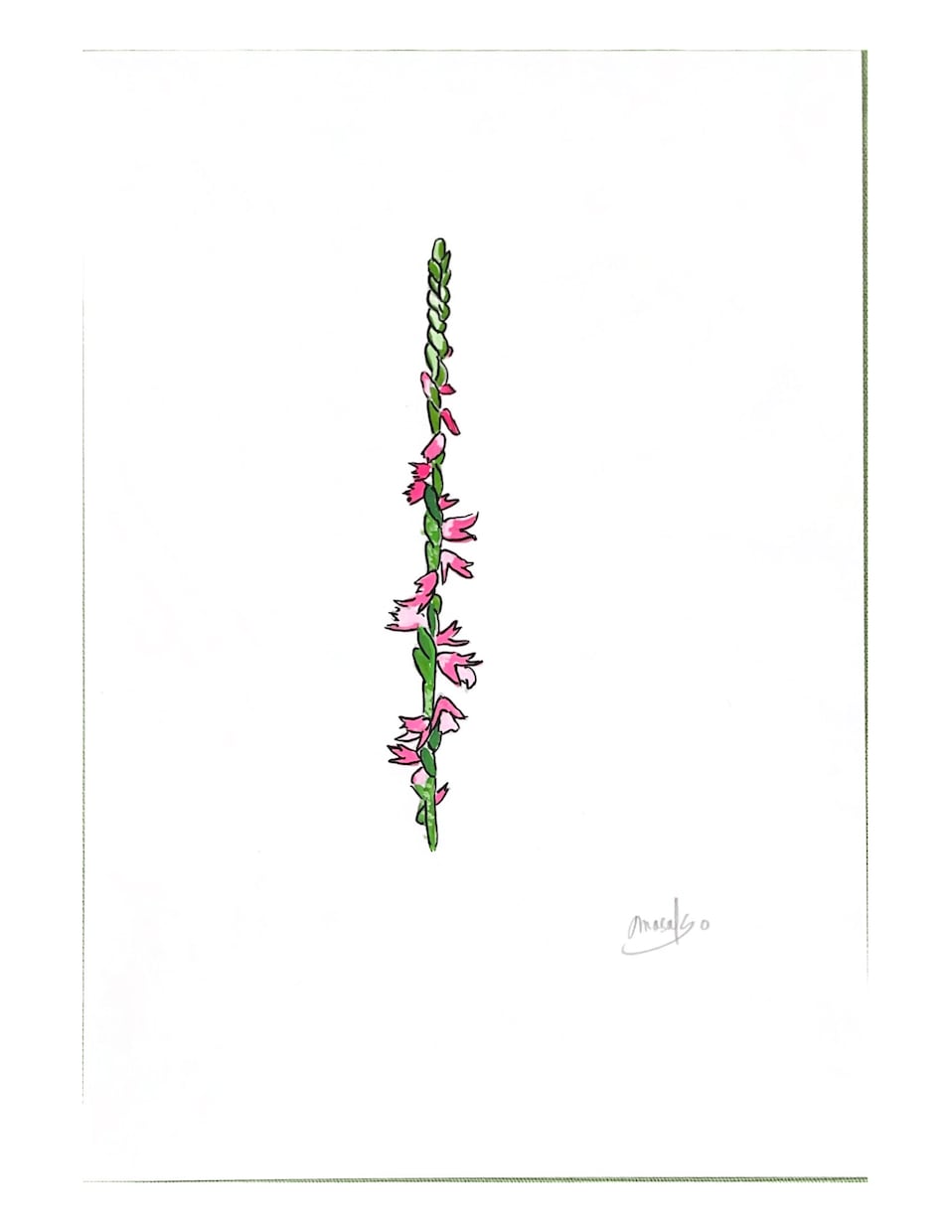 好きなお花を 鮮やかな手書きの一枚絵にします 色あざかやなデザイン画をお部屋のアクセントに！ イメージ3