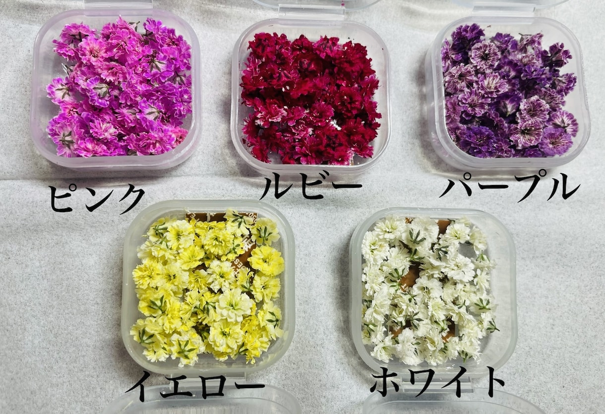 自分で選んで作るお花の指輪作ります 人気Ｎｏ．1！自分で選んで作る自分だけのスペシャルリング イメージ5