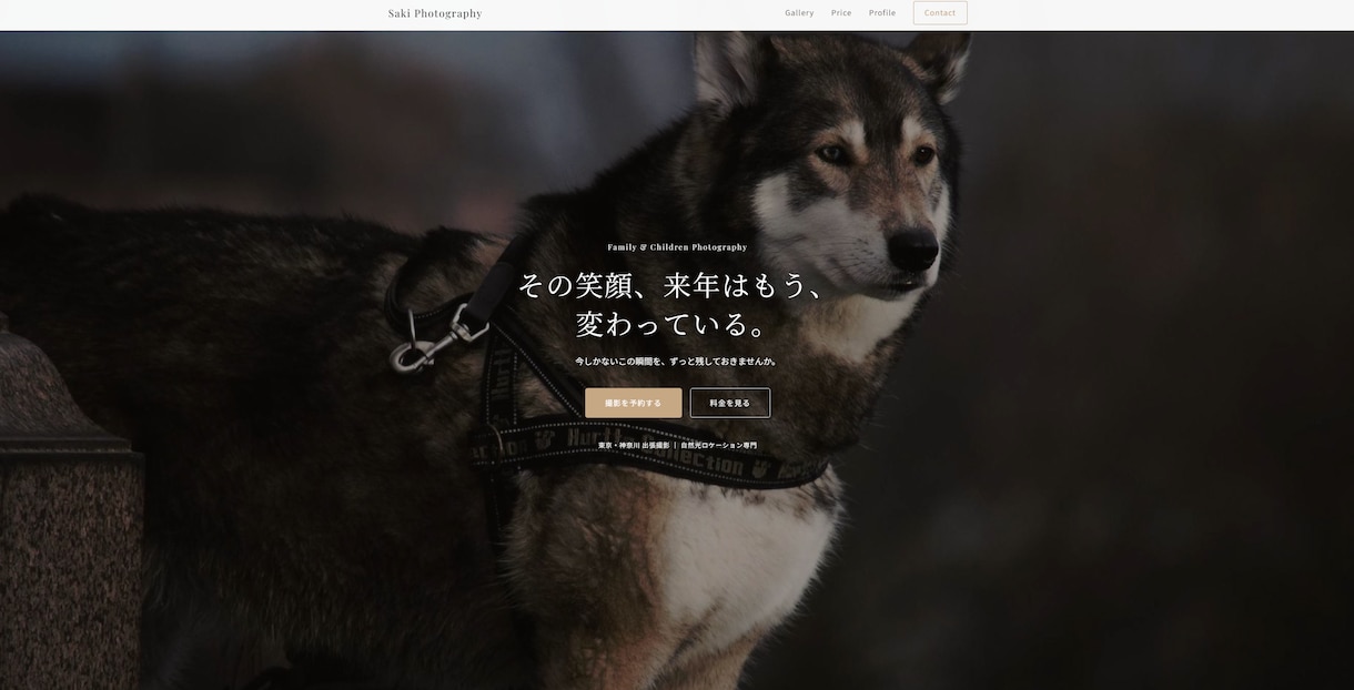WordPressなし1枚完結LP丁寧に作成します ～管理不要・WordPress不使用でシンプルなLP制作を～ イメージ4