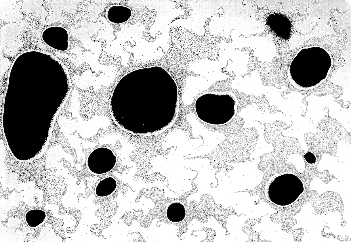 ご希望に沿ったアート作品を提供します ペン画や色鉛筆などのアナログでのアート制作になります イメージ6