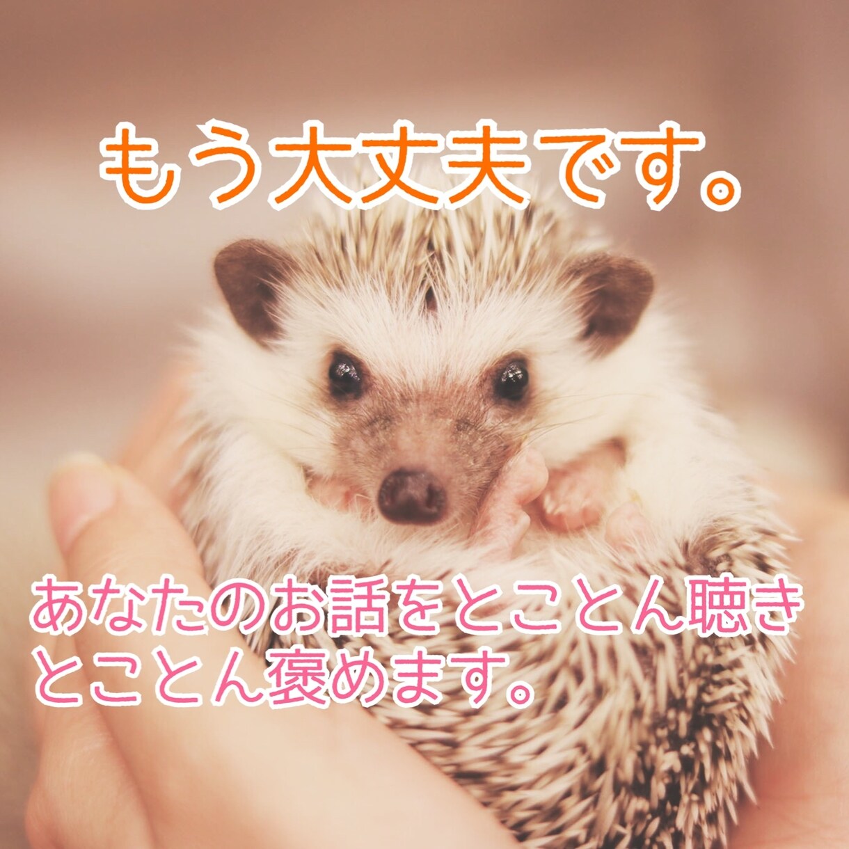 元ﾁｱﾘｰﾀﾞｰの現ｶｳﾝｾﾗｰが褒めます ボイスサンプル有！あなたのこと褒めさせてください★ イメージ3