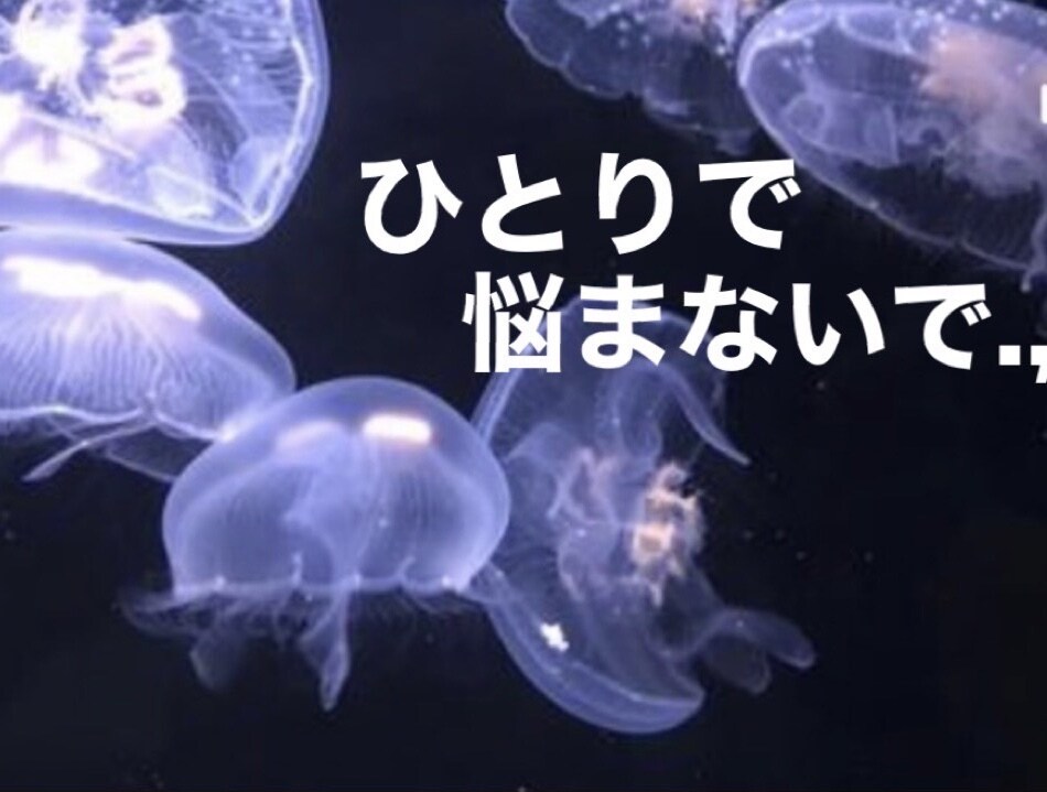 あなたの愚痴・悩み・少しでも楽にします 精神保健福祉士が、相談にのります。まずは話してみて！ イメージ1