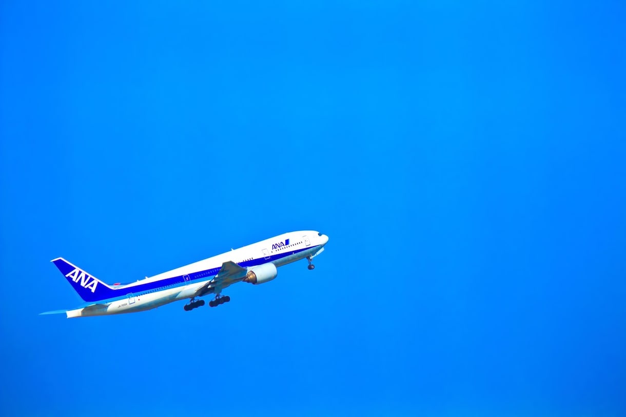 元CAがあなたの夢の空のお仕事のサポートをします CAを目指す皆様のご相談に誠心誠意、向き合います。就活応援！ イメージ1