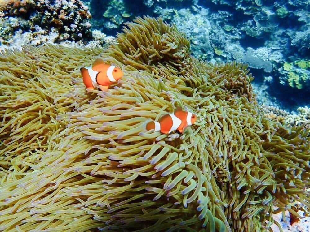 旅行先の選択肢の幅を広げます いますぐに行きたくなる都道府県の魅力をお伝えします！ イメージ7