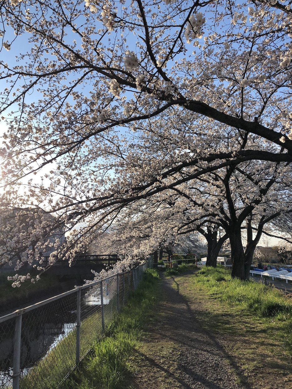 重い話から雑談まで何でも受け付けます 特別な環境で培ってきた経験から相談や雑談に乗ります。 イメージ1