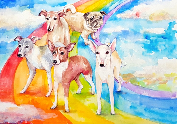 かわいくてあたたかいペットの水彩画を 描きます あなたの大切な思い出を特別な作品にします！ イメージ5