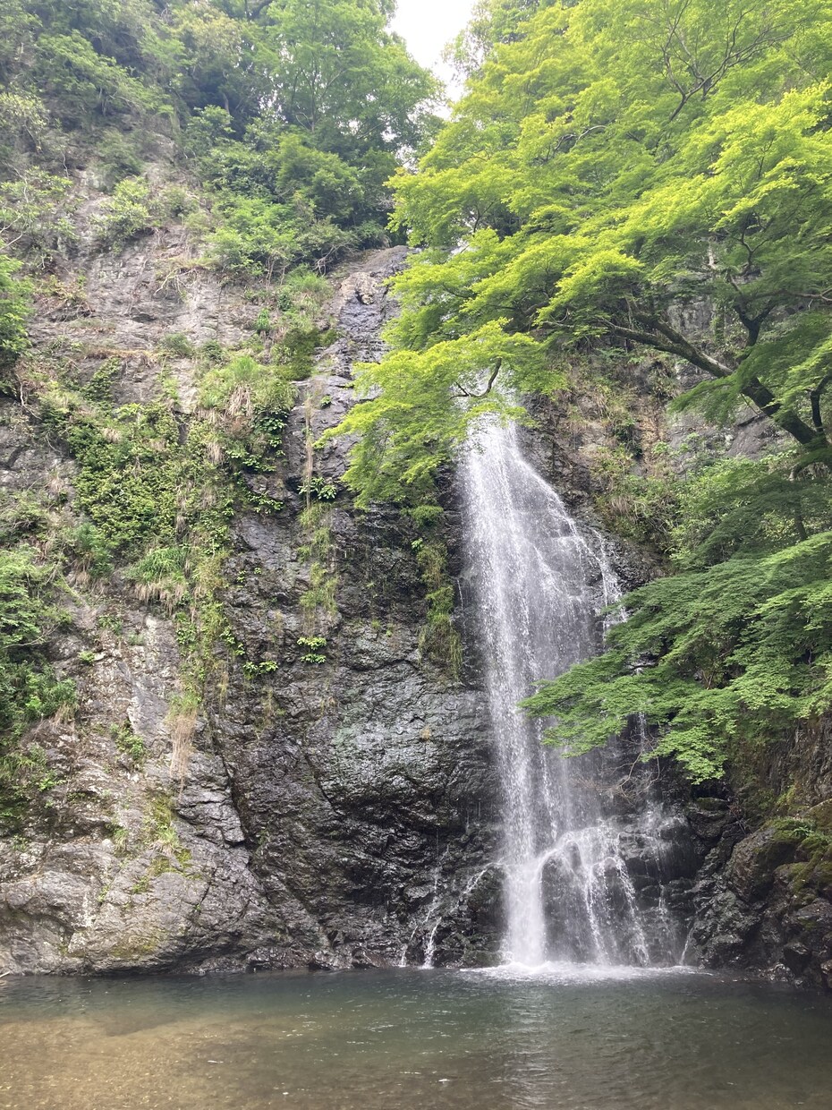 どんな小さなことでも構いません、お話し聞きます 普通の人だからこそ、聞けることもあると思います。 イメージ1