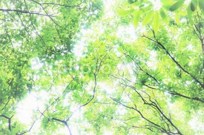 アルコール依存症かも？の方を手助けします お酒飲まない毎日を目指す⭐️出向かずオンライン断酒会☘️ イメージ6