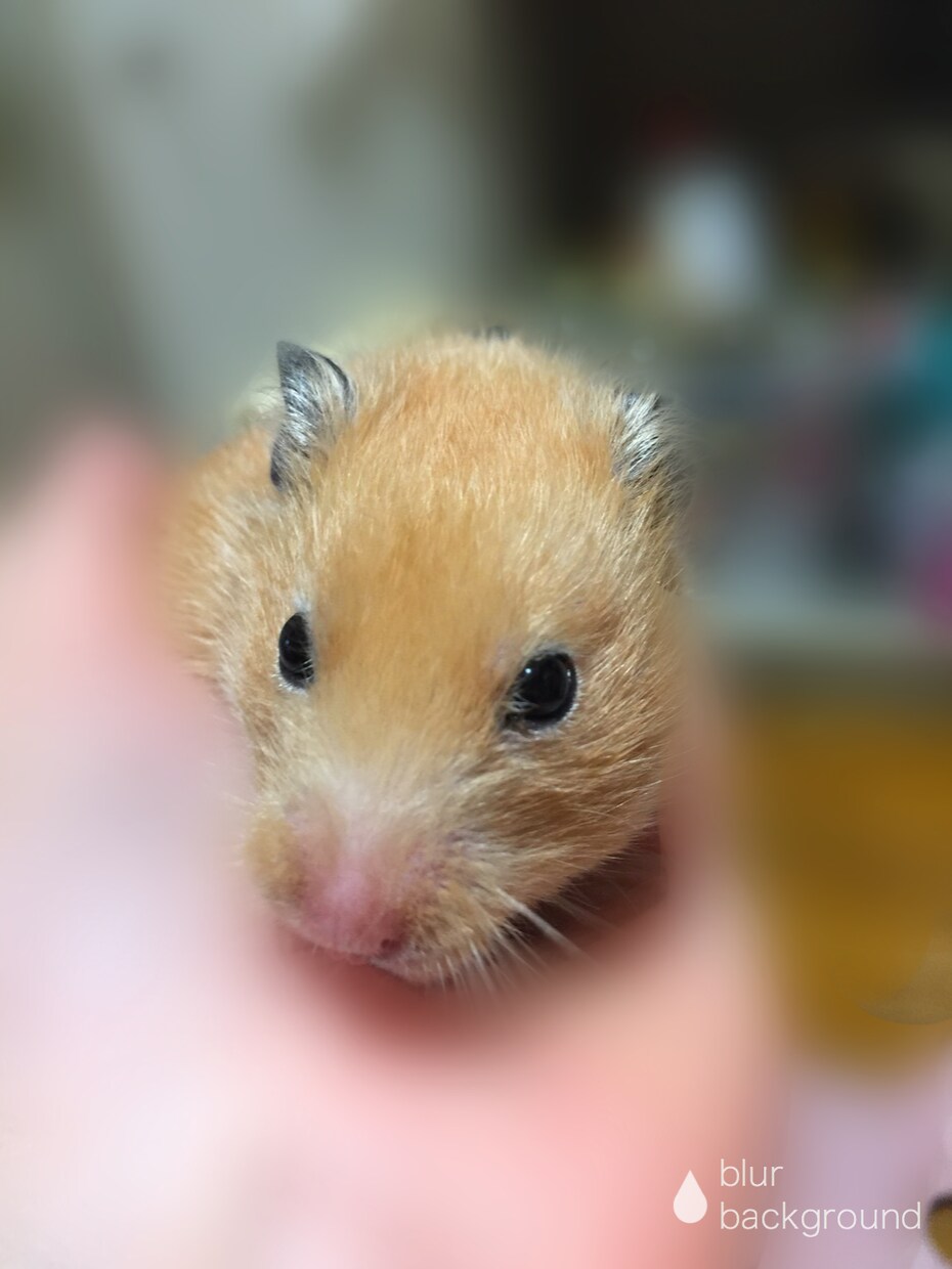 画像加工します 画像加工のやり方が分からない！そんなあなたへ イメージ3