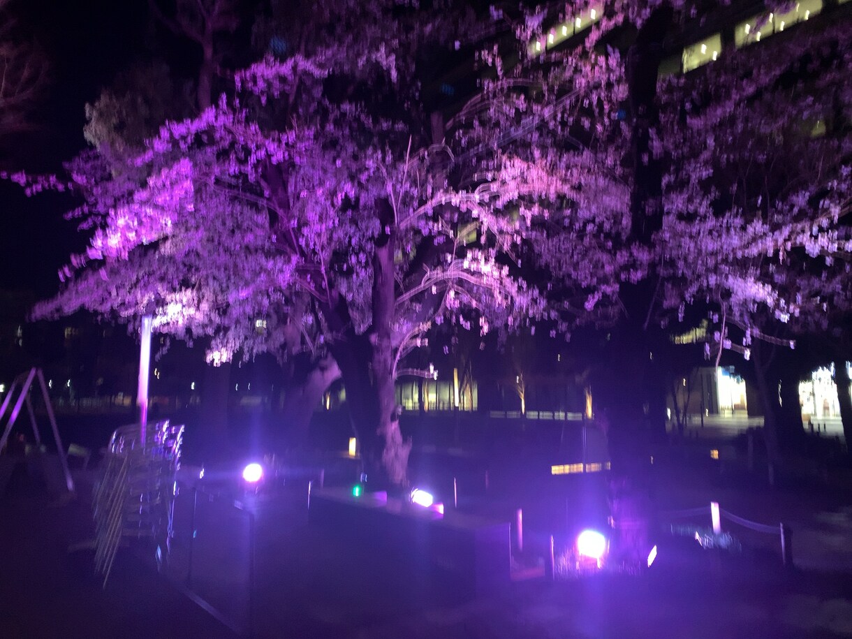 動画編集代行します 手間のかかる編集作業は安くお任せ！！ イメージ1