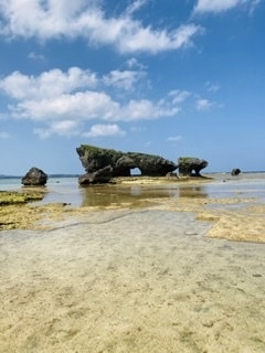 沖縄の知りたい情報教えます 観光、地域性、交通情報、飲食、学校、知りたい事教えます。 イメージ1