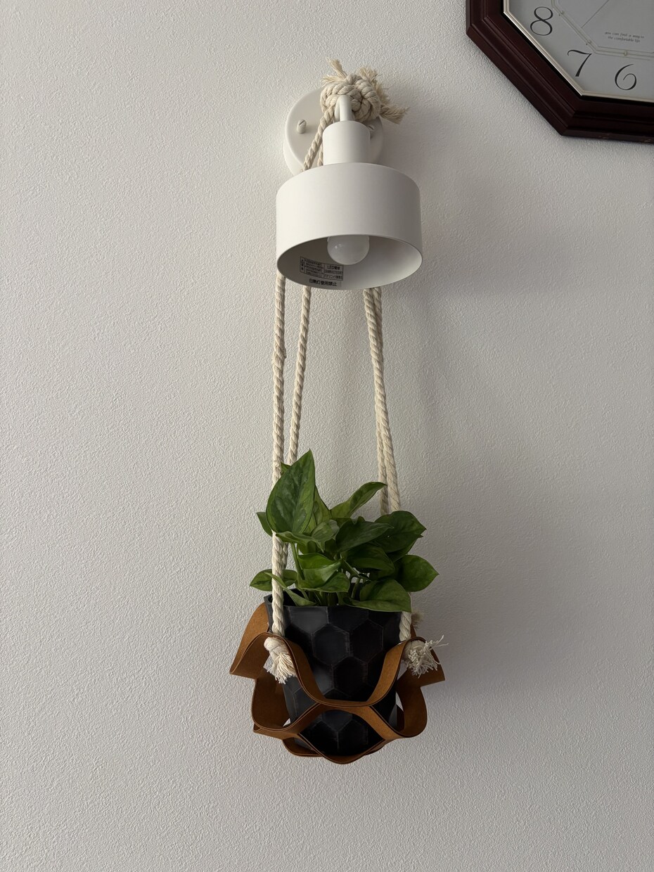 開運植物×風水で金運部屋に変身！します かわいく飾って♡お金と一緒に幸せも舞いこむお部屋つくり イメージ3