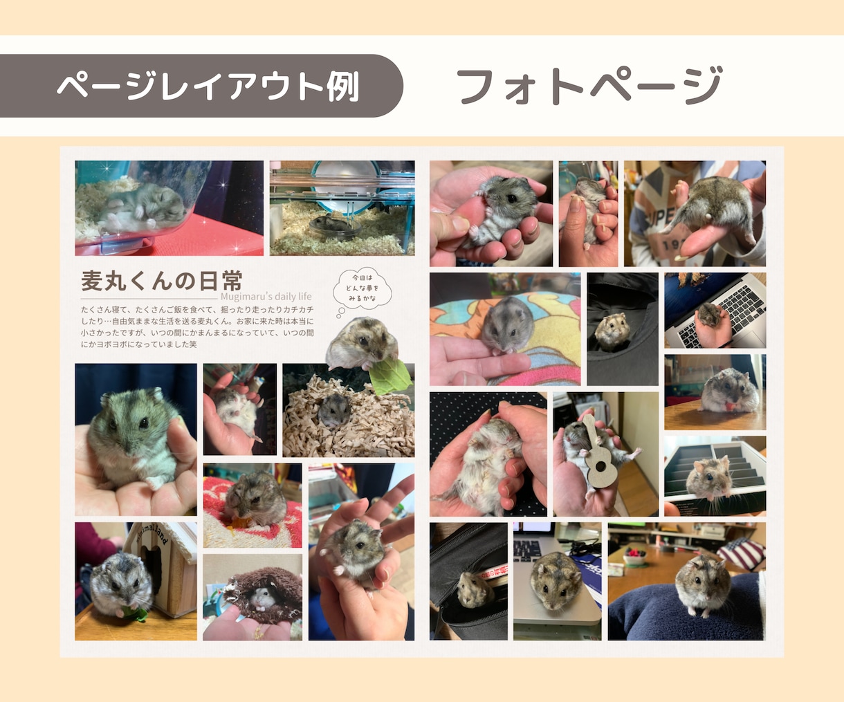 雑誌風の思い出フォトブック作ります ご家族のかけがえのない思い出を、雑誌のようなフォトブックに！ イメージ5