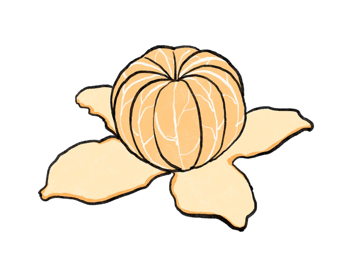 食べ物・飲み物のイラスト描きます WEBサイトや学校プリントなどに イメージ7