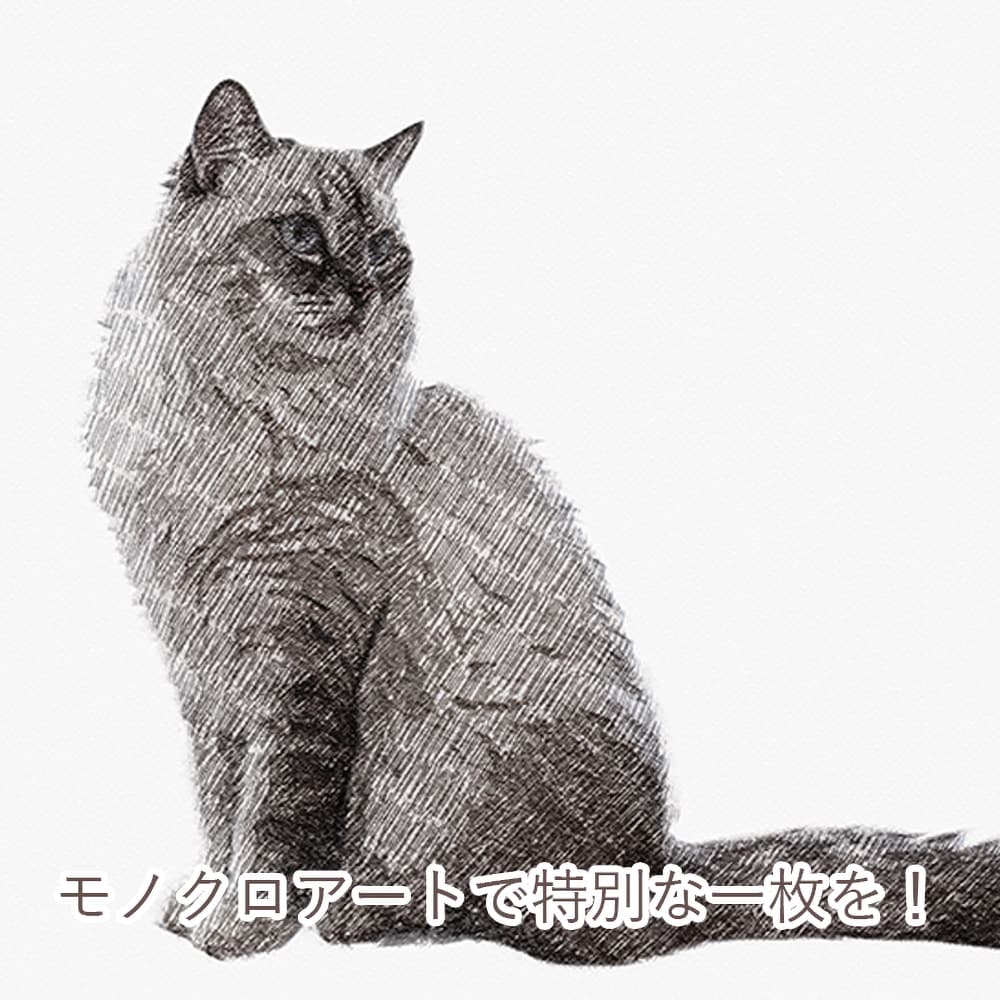 うちの子をシックな鉛筆画風のイラストにします インテリアにも馴染む、上質で大人なペットポートレート。 イメージ1