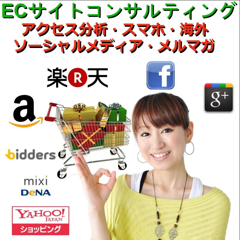 プロのECサイトのコンサルタントがコンサルティングをします。【楽天市場】 イメージ1
