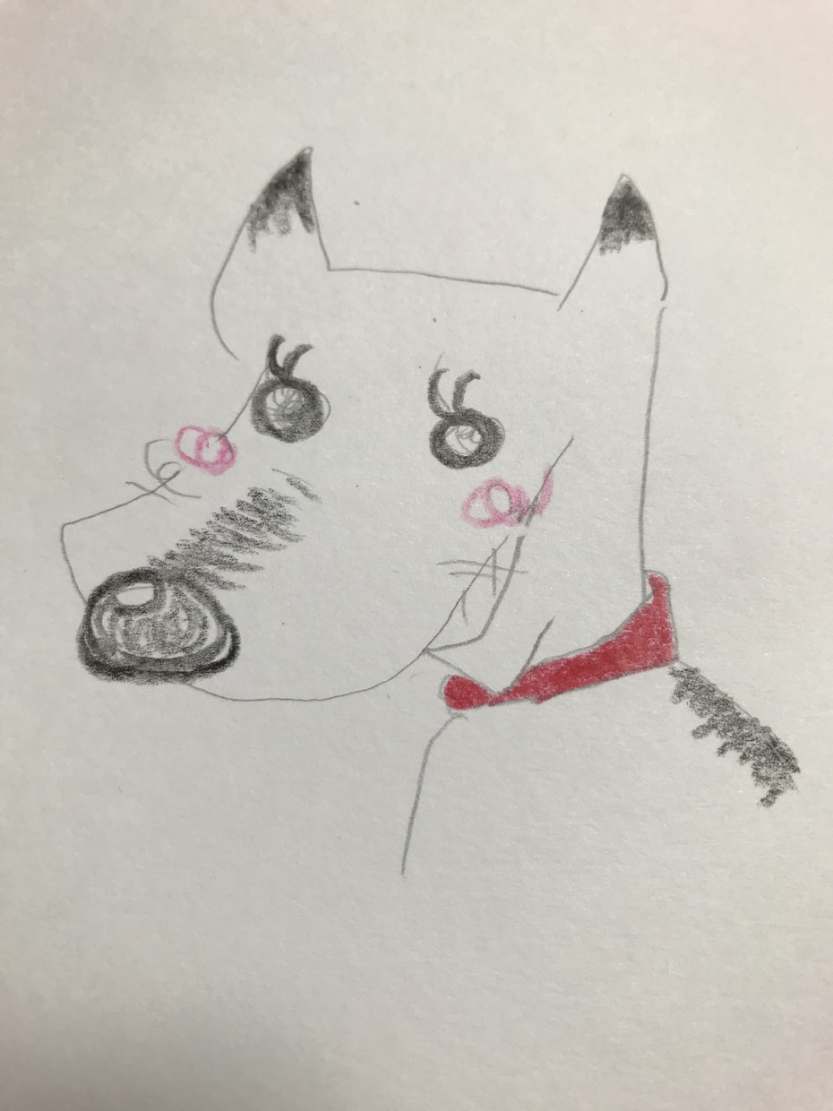ペットからのイラストつきお手紙を書きます とにかく可愛さを前面に出していきます イメージ4