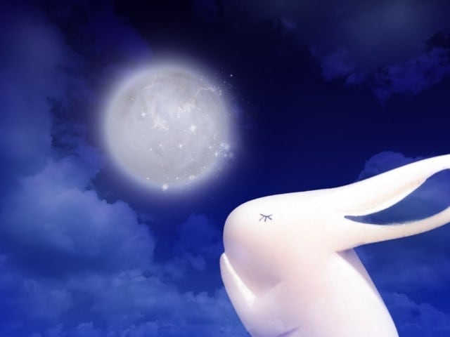 ペットの気持ちをリーディングします 問題行動の原因をお伝えします✨ イメージ2