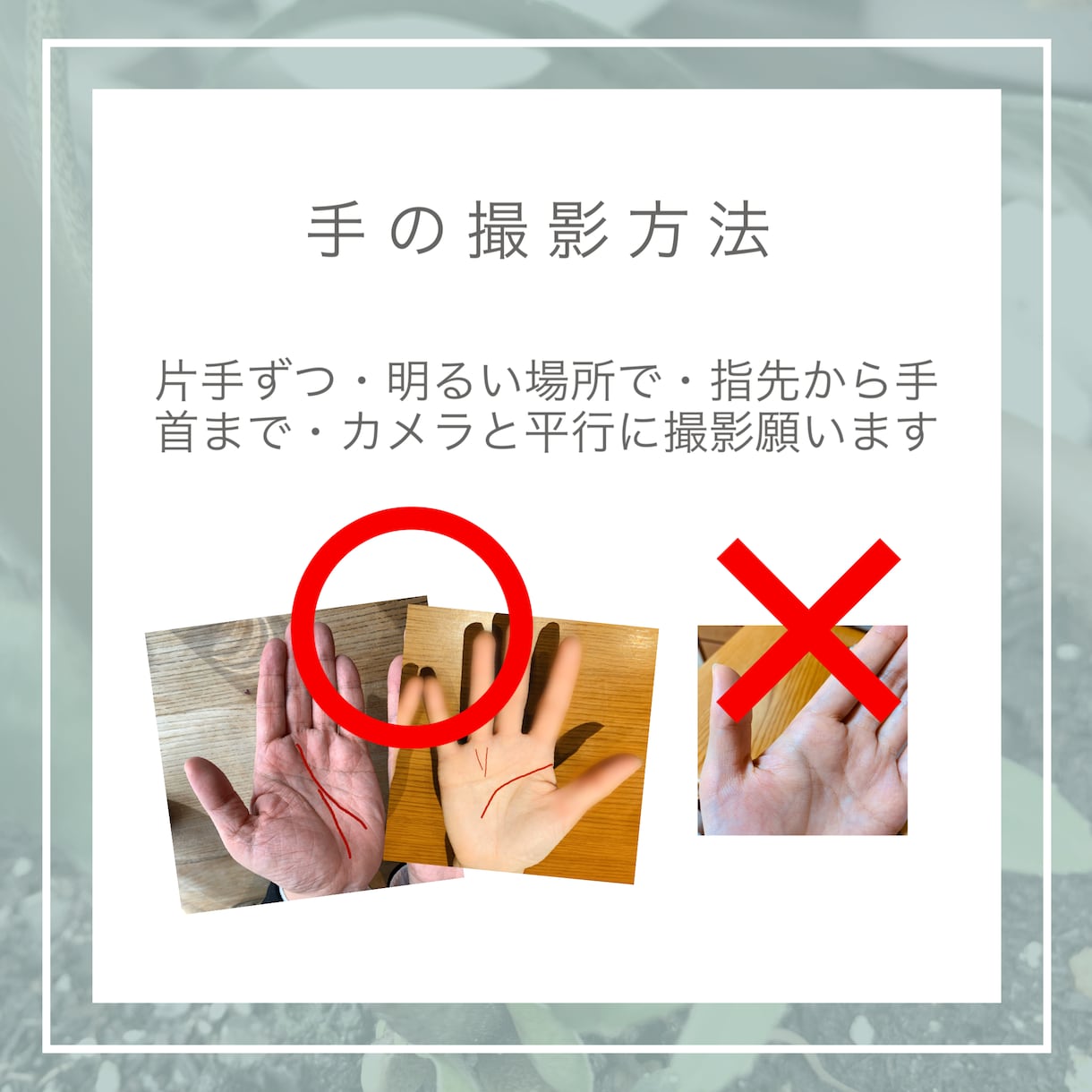 あなたの手相を読み解きます 一つずつ丁寧に細かなところまで鑑定を行っていきます イメージ3
