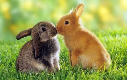 不安や悩み吐き出して下さい。あなたの味方になります ４０代の人生山あり谷ありのオバサンが、あなたのお話を聞きます イメージ3