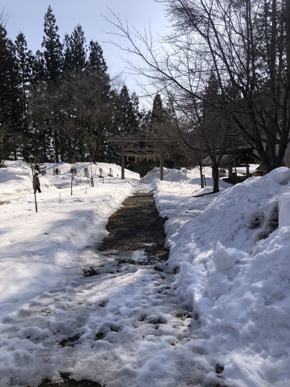 精神科医があなたのお話を聞きます 仕事の悩み、恋愛相談、子供の受験相談、人間関係の悩み等 イメージ8
