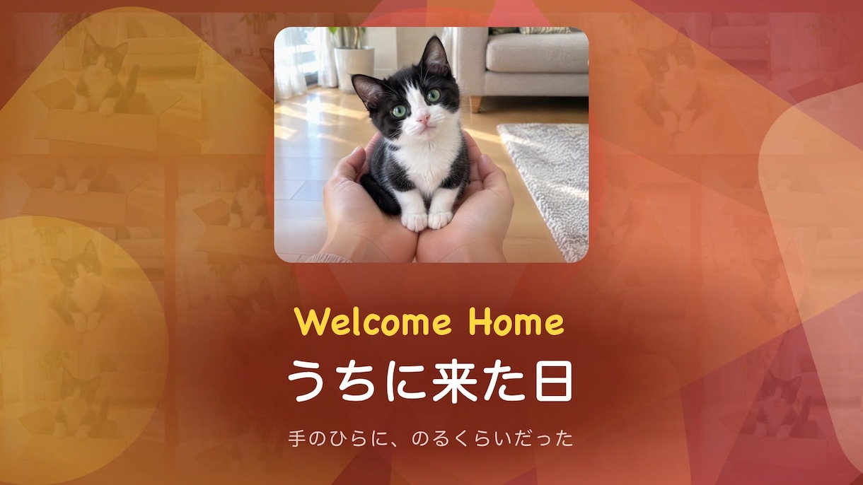 クーポン配布中 ペットの思い出動画作ります 9/30までお気に入りで30%オフ 作風を2つから選べる イメージ2