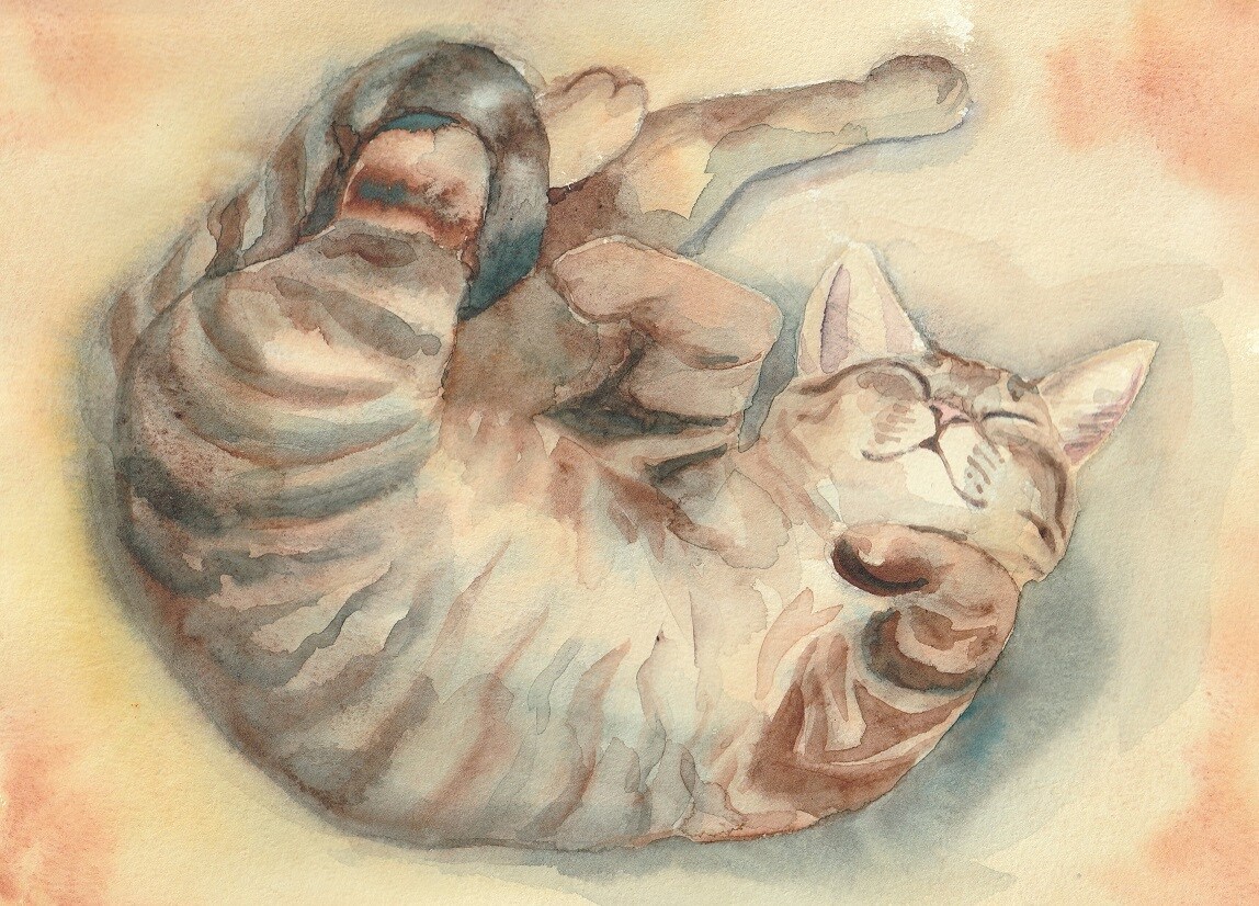 写真などからペットの絵、水彩でお描きします 複数の画像から一枚の画像に仕上げることもできます。 イメージ3