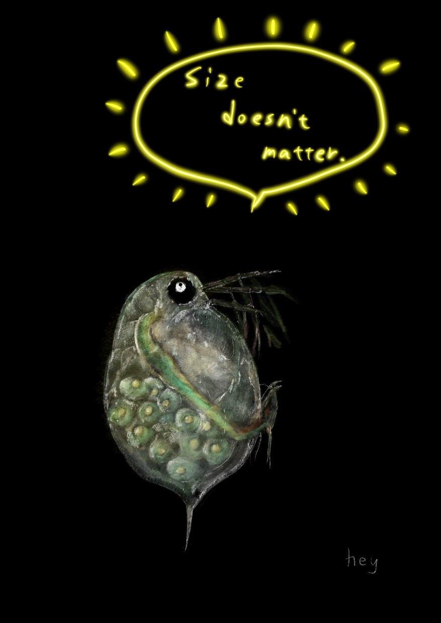 絵本作家がiPadで絵本風キャラを描きます 絵本風キャラや動植物|グッズ化やプレゼントにも|お急ぎ可 イメージ8