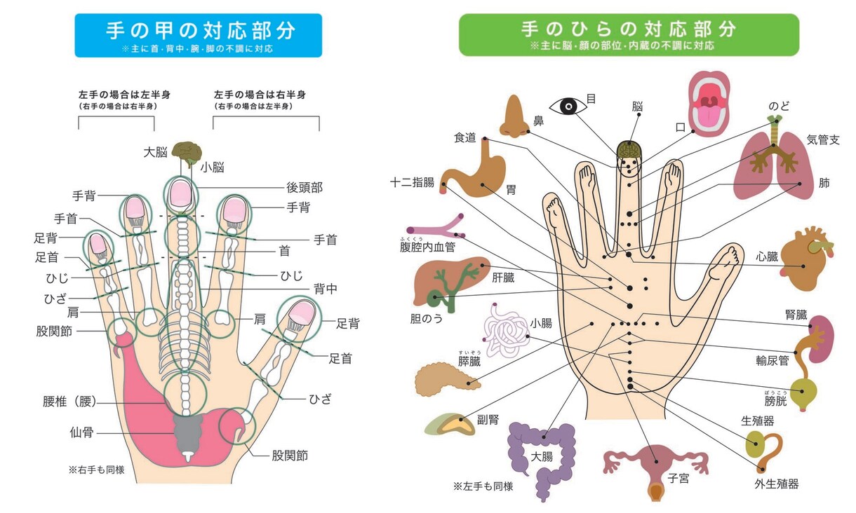 鍼灸師が薦める簡単な健康法を教えます 高麗手指鍼の相応点を使用した簡単に出来る健康法を教えます イメージ1