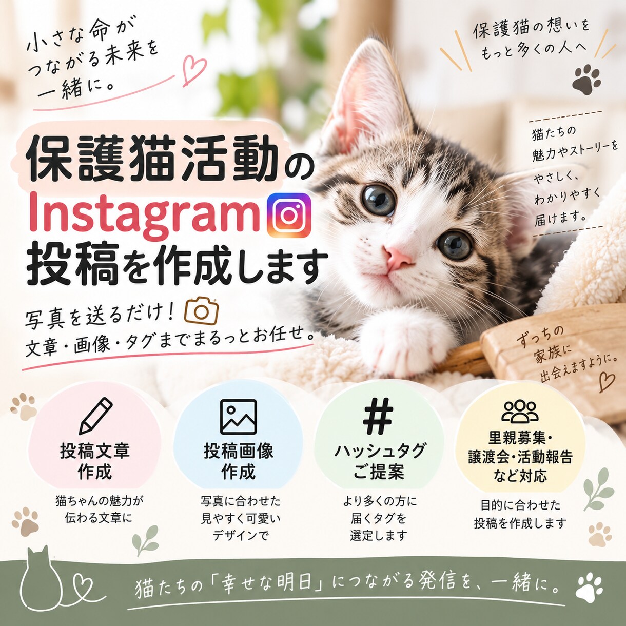 保護猫活動のInstagram投稿を作成します 写真を送るだけ！想いが伝わる投稿をお作りします イメージ1