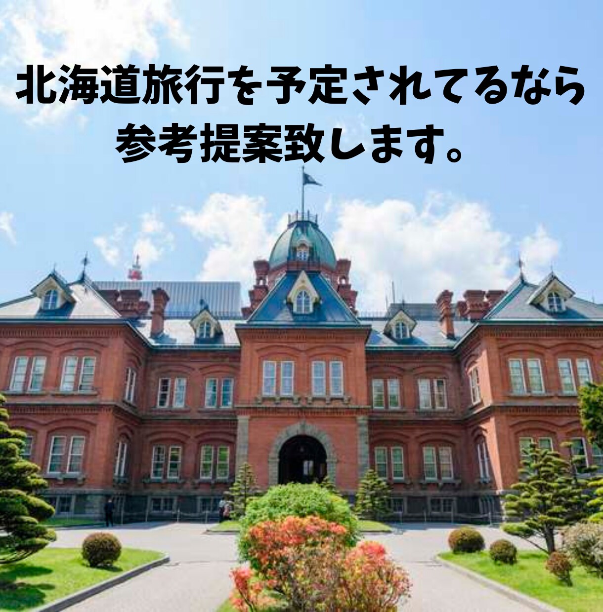 北海道旅行での旅行相談を提案致します 北海道旅行の最高の思い出の1ページを一緒につくりませんか? イメージ1